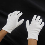 Accessoires Clown Déguise Chapeau/Lunettes/Faux Nez/Perruque Colorée/Masque Ensemble