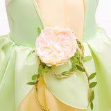 Déguisement Enfant Fille Princesse Tiana Robe+Accessoire Costume