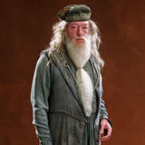 Harry Potter Dumbledore Professeur Albus Dumbledore Perruque +Barbe