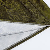 Déguisement Robe Traditionnelle Bavaroise Verte Allemande Femme