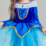 Déguisement Film La Reine des Neiges Princesse Robe Costume pour Enfant