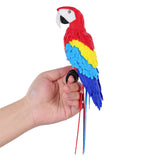 Accessoire Ornement Ara Coloré pour Halloween