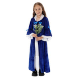 Déguisement Fille Robe Bleue Vintage Renaissance Française Costume