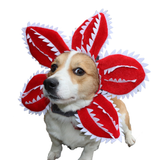 Animal Déguisement Demogorgon Stranger Things TV Tenue Rouge Chien