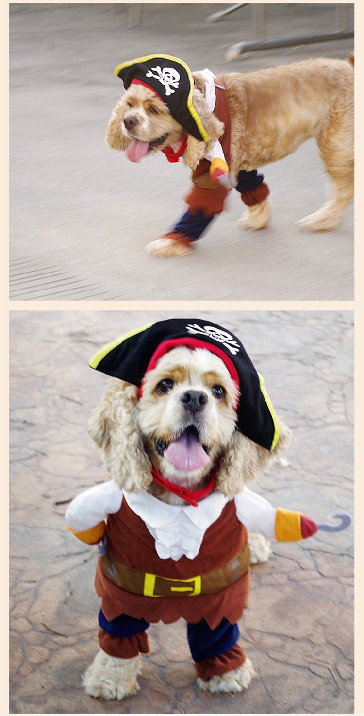 Déguisement Halloween Pirate des Caraïbes pour chiens/chats