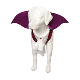 Déguisement Animal Dinosaure Pour Chien Costume Halloween Carnaval